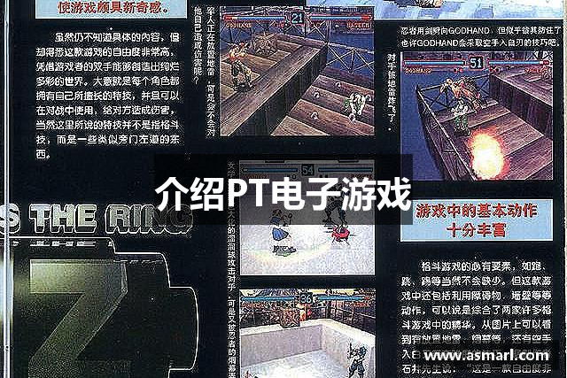 介绍PT电子游戏